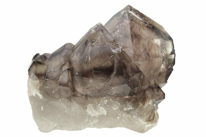 Lustrous Smoky Elestial Quartz - Brazil #238117